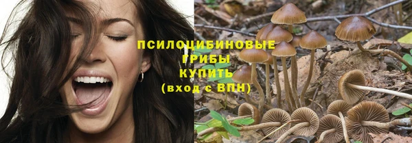молекула духа Володарск