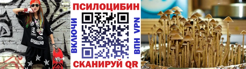 Купить  Муром  Галлюциногенные грибы Magic Shrooms 
